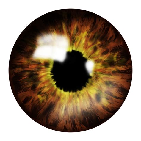 Eye PNG Transparent Eye PNG Images PlusPNG