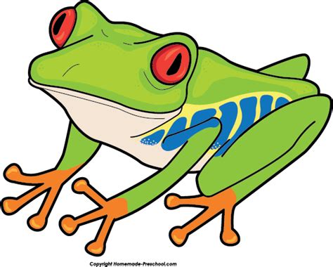 Free Jungle Frog Cliparts Download Free Jungle Frog Cliparts Png