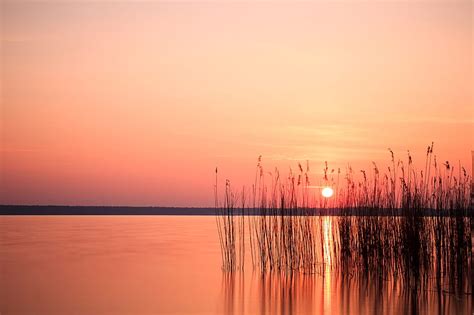 Sun Sunset Reeds Lake Horizon Hd Wallpaper Peakpx