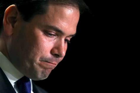 Marco Rubio Suspends Presidential Campaign After Trump Wins Florida Politics News