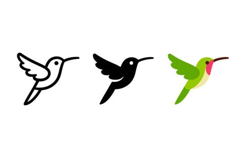 Hummingbird Illustrations Royalty Free Vector Graphics And Clip Art Istock