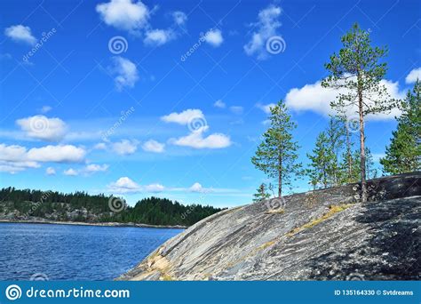 Karelian Landscape Rocks Pine Trees And Water Bay Chupa White Sea