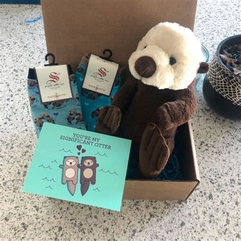 Significant Otter Care Packages Are Simply Too Cute Significant Otter