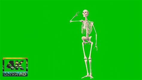 Skeleton Animation Green Screen Video No Copyright Skeleton Video