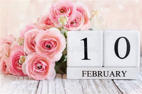 February 10th Calendar Blocks With Pink Ranunculus Stock Photo Image