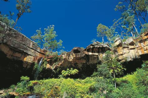Blackdown Tableland National Park Parks And Forests Department Of