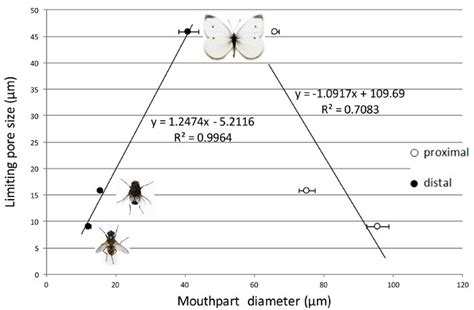 Relationship Between Insect Mouthparts And Pore Sizes From Which They