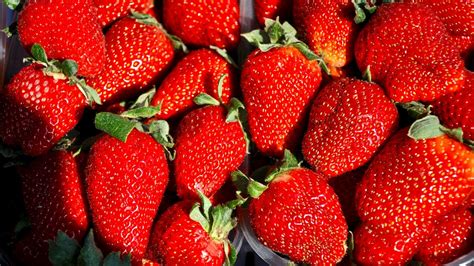 Strawberry Fruit · Free photo on Pixabay
