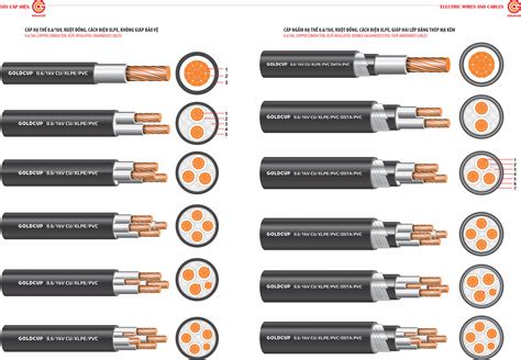 So SÁnh DÂy DẪn ĐiỆn VÀ DÂy CÁp ĐiỆn