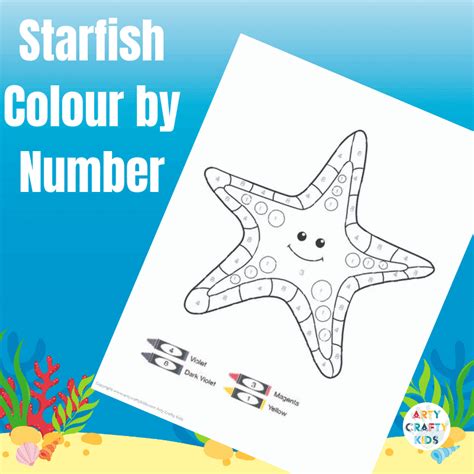 Starfish Colour By Number Arty Crafty Kids