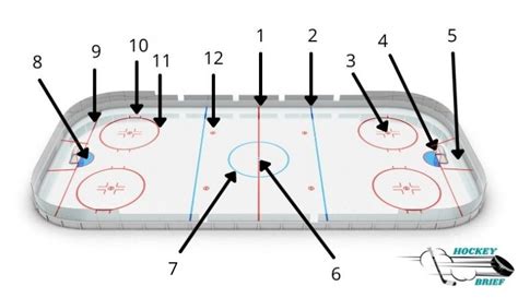 Ice Hockey 101 Rules And Regulations Guide Hockey Brief
