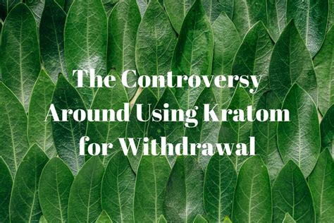 The Controversy Around Using Kratom for Opiate Withdrawal | Desert Cove