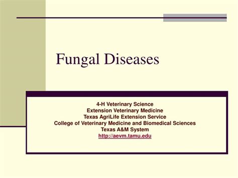 Ppt Fungal Diseases Powerpoint Presentation Free Download Id2406010
