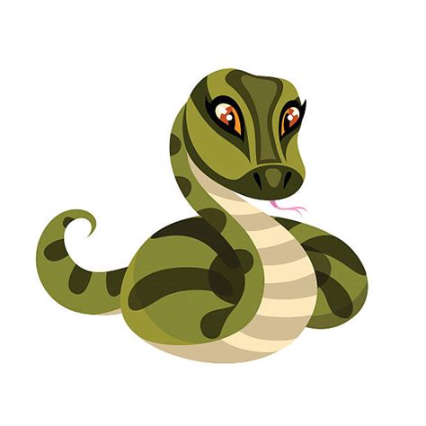 Anaconda Pic Backgrounds Illustrations Royalty Free Vector Graphics