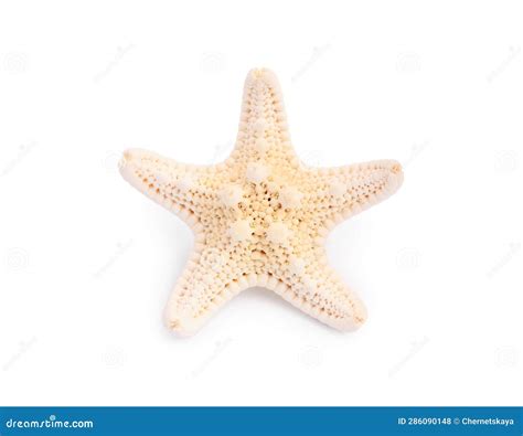 Beautiful Sea Star Starfish Isolated On White Stock Photo Image Of