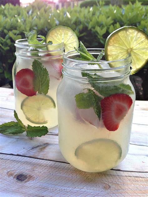 The vodka lemonade recipe out of our category tropical fruit! Refreshing Summer Drinks: Vodka Mint Lemonade Cocktail ...