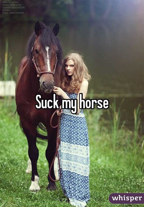 Suck My Horse