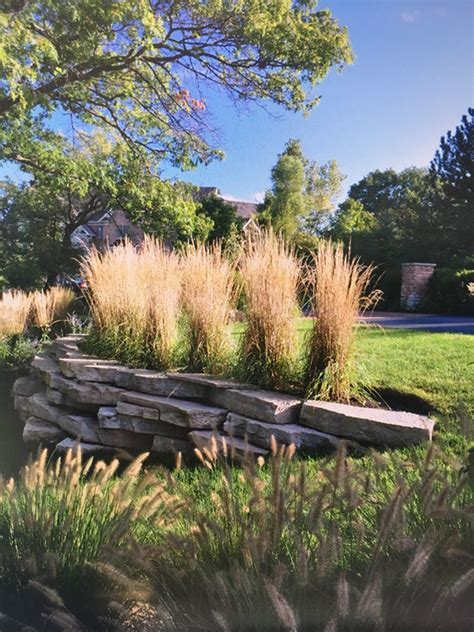 Im umgang mit gräsern im garten gibt es einiges. #trockenmauer #natursteinwand #ziergrass | Garten ...