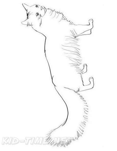 Norwegian Forest Cat Cat Breed Coloring Book Page