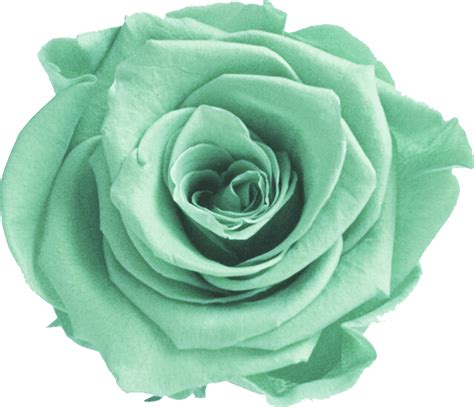 Download Mint Transparent Flower Crown Mint Green Flower Png Png