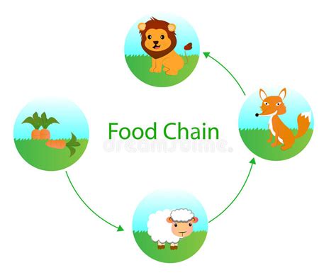 Food Chain Clipart Images 10 Free Cliparts Download Images On