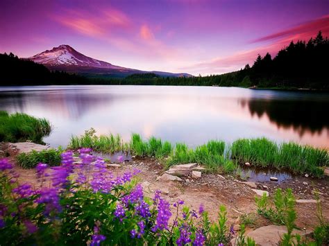 New house exterior hd photo. Beautiful view wallpaper hd | Scenery wallpaper, Beautiful ...