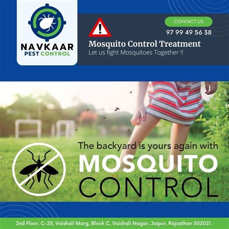 Mosquito Pest Control Services At Rs 15sq Ft In Jaipur Id 23197724888