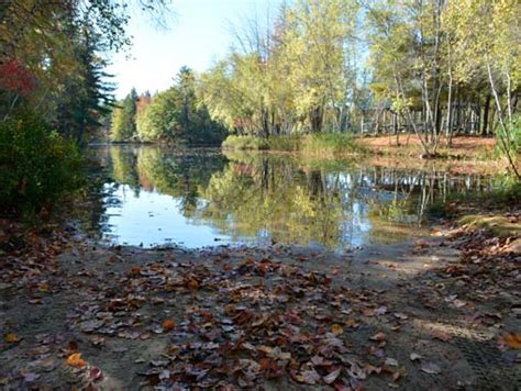 Belleau Lake Nh Acton Wakefield Watersheds Alliance About Belleau