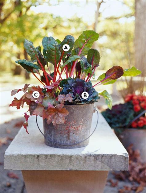 31 Gorgeous Fall Container Garden Ideas To Try Right Now Fall