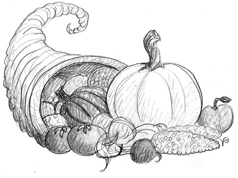 Cornucopia Thanksgiving Drawings Drawings Thanksgiving Art