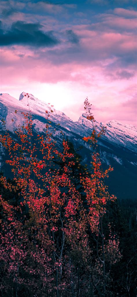 Mount Rundle Wallpaper 4k Canada Golden Hour Clouds Purple Sky