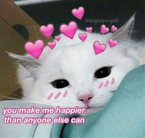 Aesthetics Cute Cat Memes Cute Love Memes Wholesome Memes