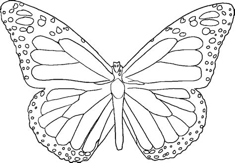 Full Page Printable Butterfly Template Printable Templates