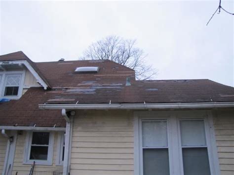 If our lab test says we have mold, what should we do? Does Homeowner's Insurance Cover Roof Leaks? | News and Events for LeafGuard by Keeney Home Services