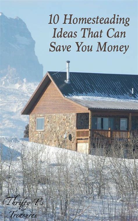 10 Homesteading Ideas That Can Save You Money Homesteading Frugal