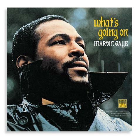 what s going on 1971 marvin gaye the soul asylums