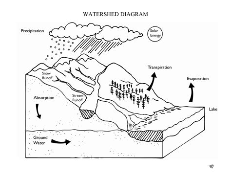 Get Free Printable Water Cycle Diagram Pics Diagram Printabel
