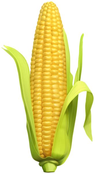 Corn Png