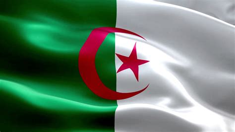 Democratic and popular republic of algeria. Algeria Flag Animation 4K | Algeria Flag Waving HD | Free ...