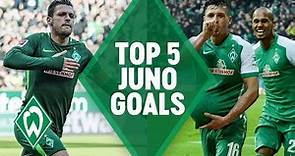 TOP 5 AMAZING GOALS by Zlatko Junuzovic | SV WERDER Bremen