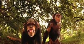 Rudyard Kipling's The Second Jungle Book: Mowgli & Baloo - Trailer