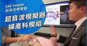 婦產科超音波教學模擬 Vimedix OB/GYN | 多種婦科、胎兒病例影像，支援經腹部及經陰道探頭操作