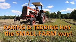 the basics of raking & tedding hay