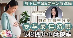 【生龍B】2024年生龍B幾時受孕最理想？　婦產科醫生分享3招提升中獎機率 - 香港經濟日報 - TOPick - 親子 - 兒童健康