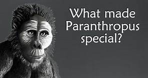 The Genus Paranthropus, the Last of the Ape-People | Paranthropus Evolution | Human Origins