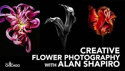 Creative Flower Photography with Alan Shapiro