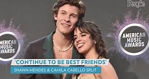 Camila Cabello and Shawn Mendes' Relationship Timeline