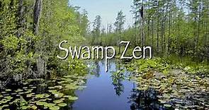 Experience Swamp Zen at the Okefenokee Swamp Park in Waycross, Georgia