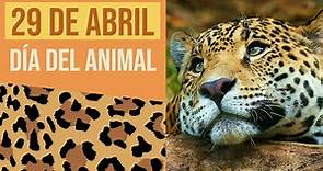 Este 29 de abril celebramos en Argentina el Día del Animal