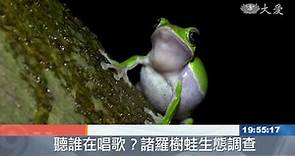 瀕絕諸羅樹蛙 現身北香湖公園